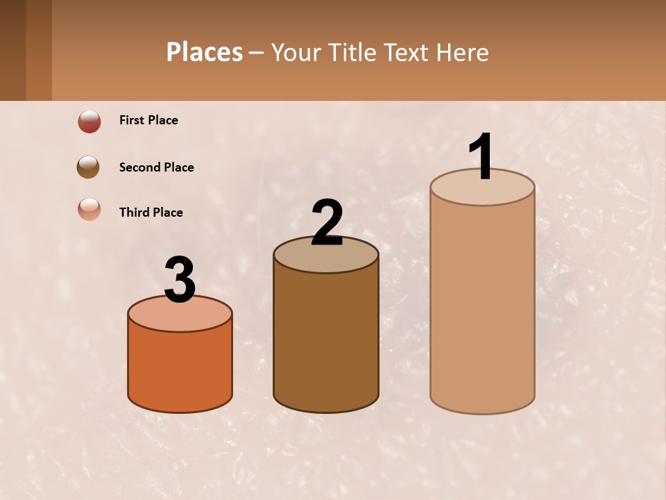 Conditioner White House PowerPoint Template