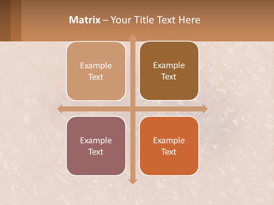 Conditioner White House PowerPoint Template