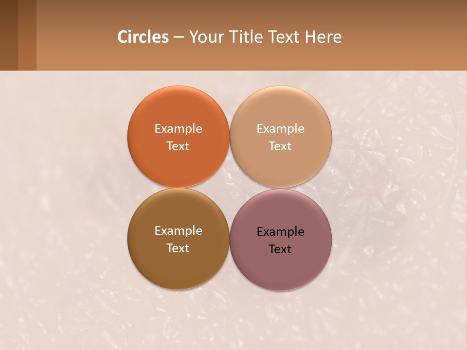 Conditioner White House PowerPoint Template