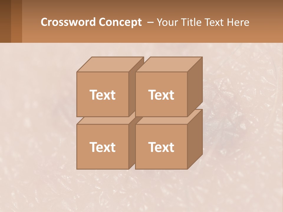 Conditioner White House PowerPoint Template