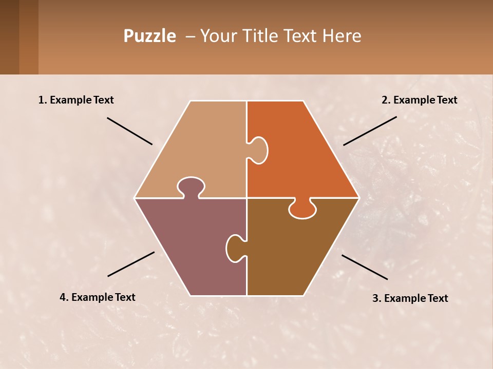 Conditioner White House PowerPoint Template
