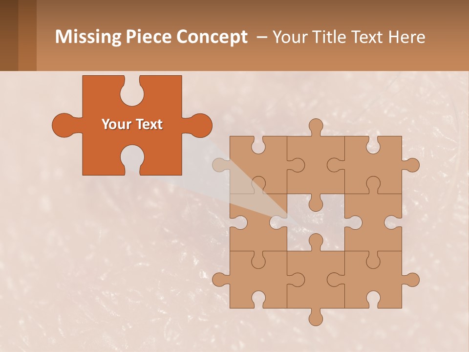 Conditioner White House PowerPoint Template