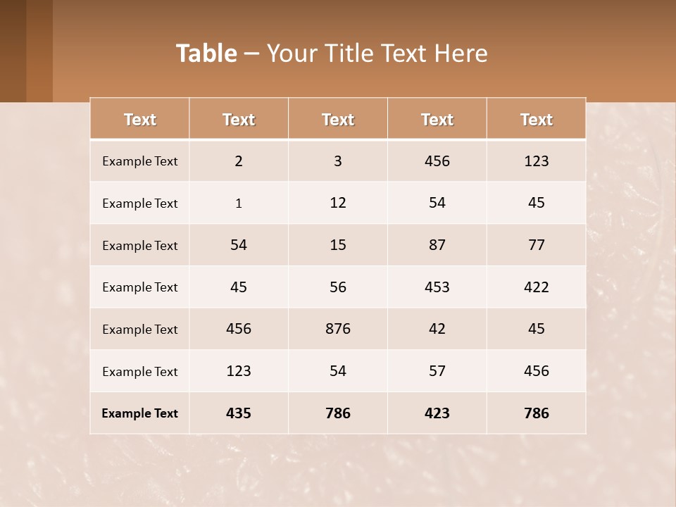 Conditioner White House PowerPoint Template