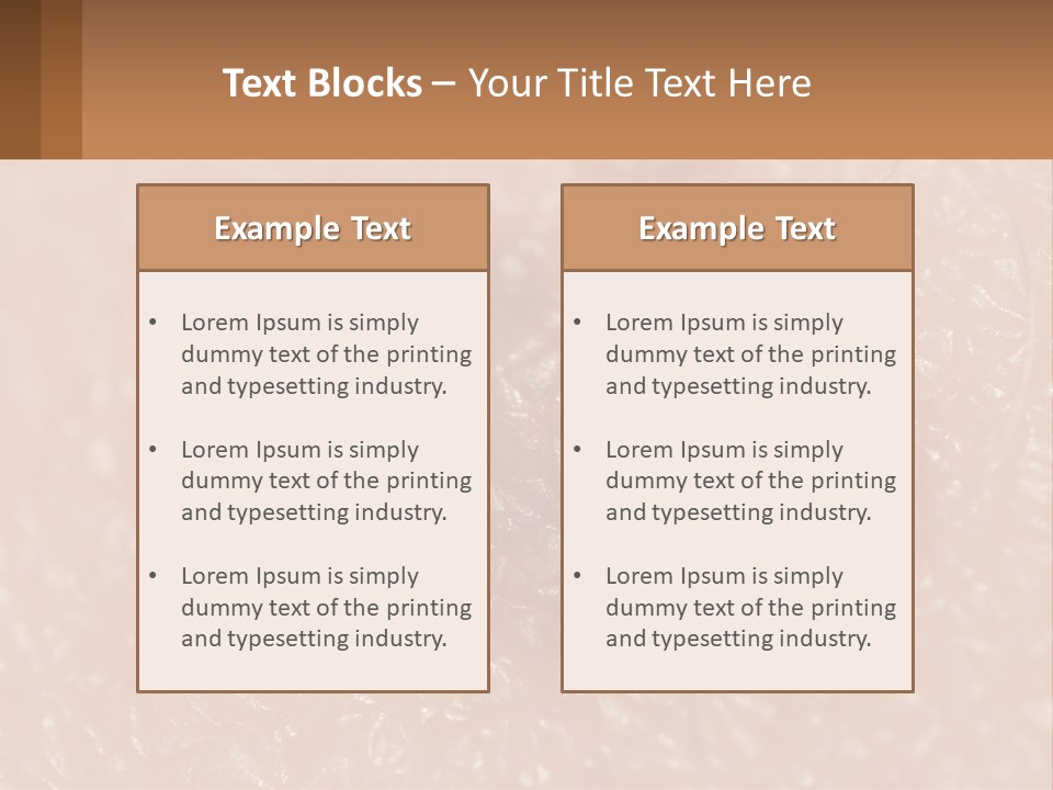 Conditioner White House PowerPoint Template