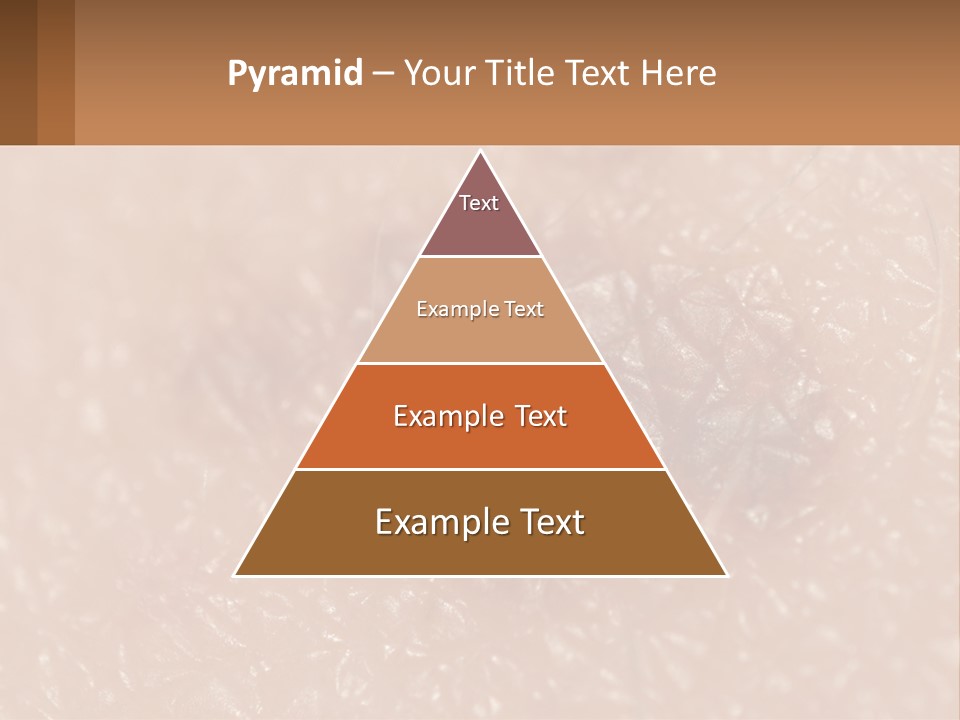 Conditioner White House PowerPoint Template