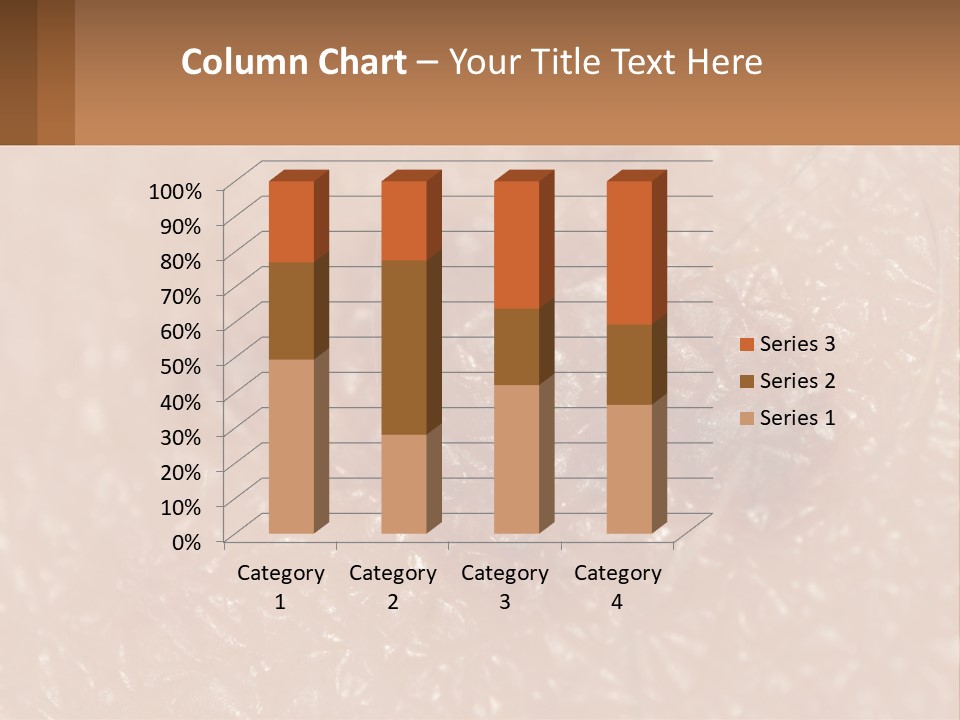 Conditioner White House PowerPoint Template