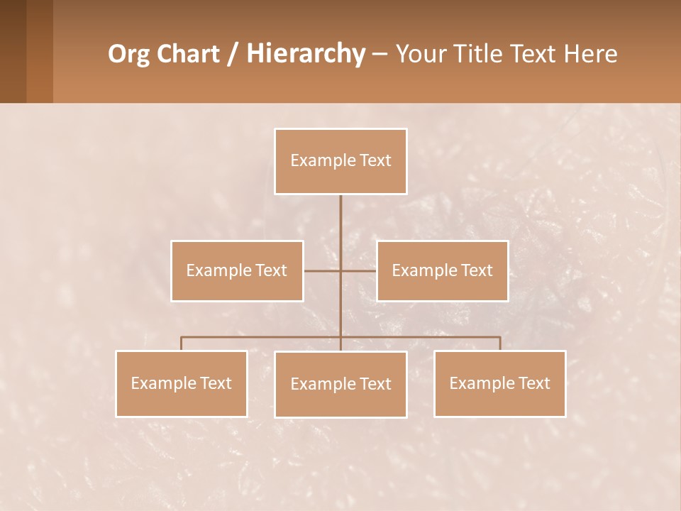 Conditioner White House PowerPoint Template