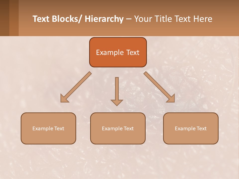 Conditioner White House PowerPoint Template