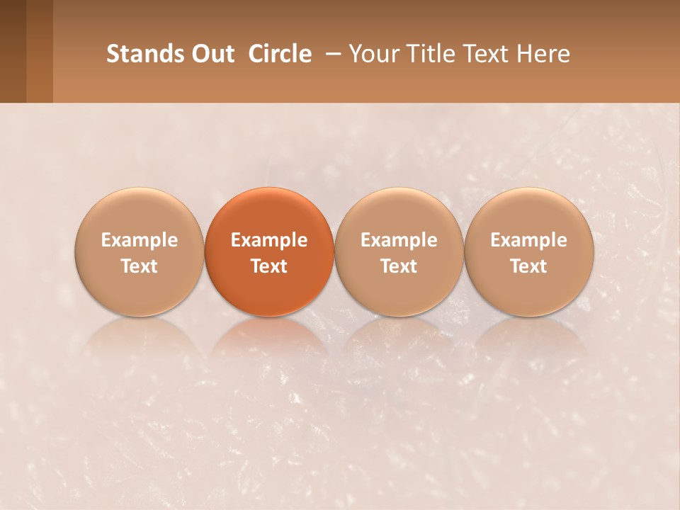 Conditioner White House PowerPoint Template