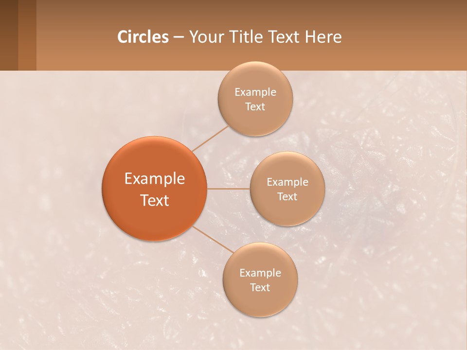 Conditioner White House PowerPoint Template