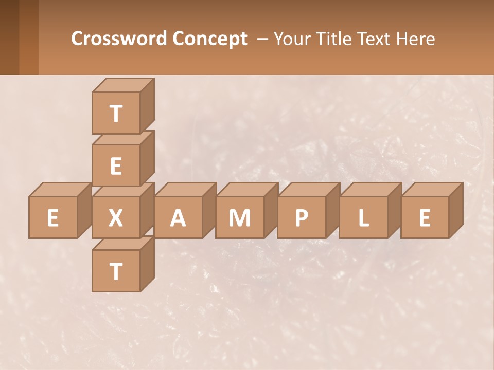 Conditioner White House PowerPoint Template