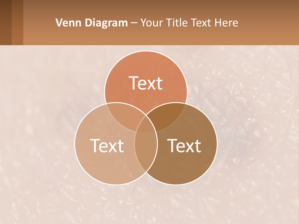 Conditioner White House PowerPoint Template