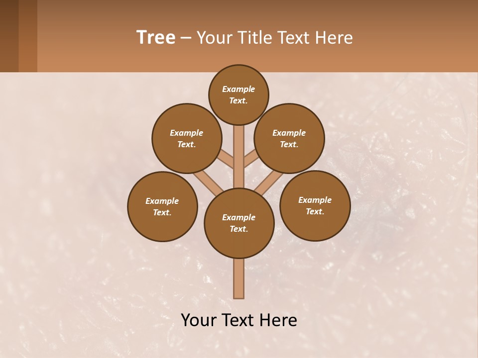 Conditioner White House PowerPoint Template