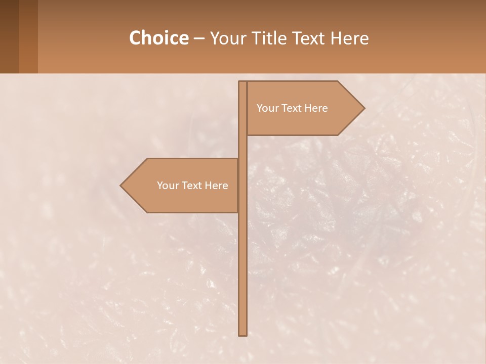 Conditioner White House PowerPoint Template