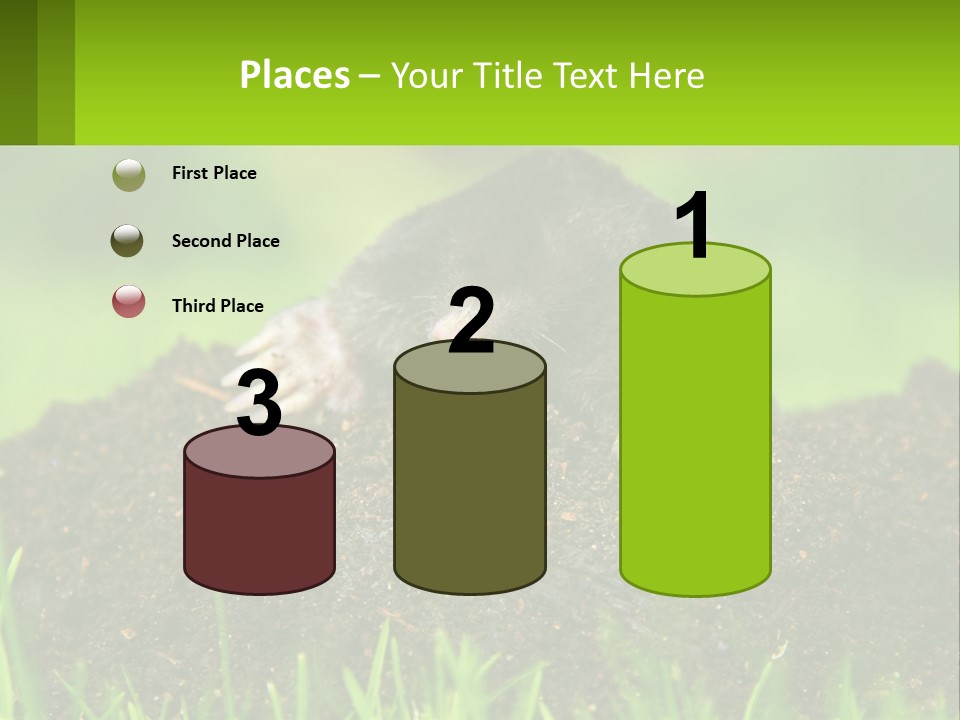 Electricity Home Cooling PowerPoint Template