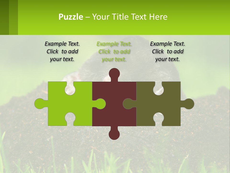 Electricity Home Cooling PowerPoint Template