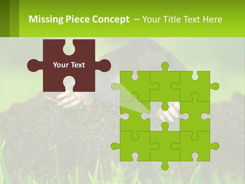 Electricity Home Cooling PowerPoint Template