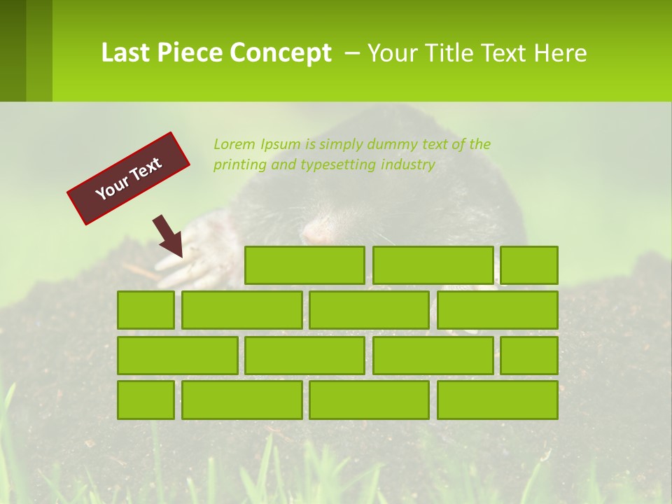 Electricity Home Cooling PowerPoint Template