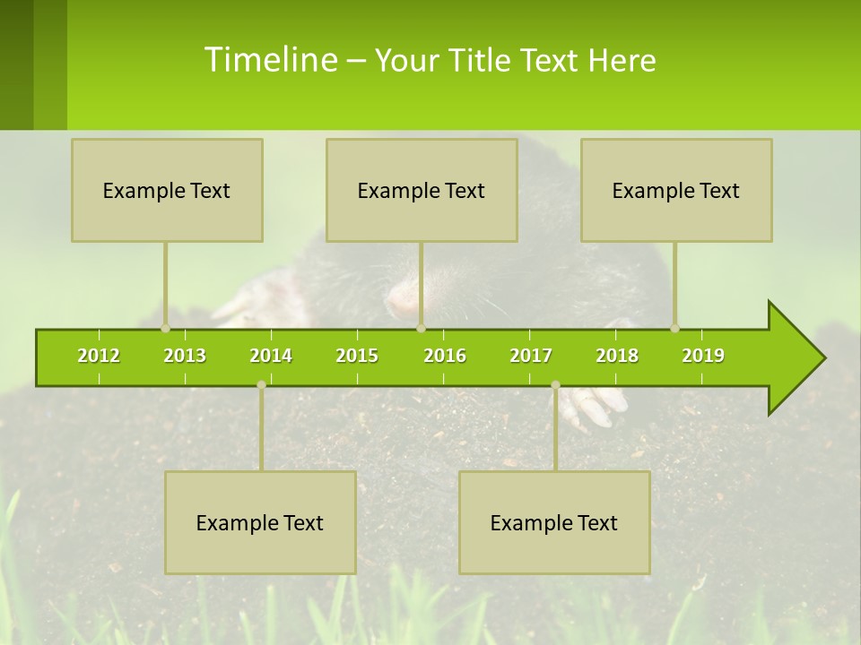Electricity Home Cooling PowerPoint Template