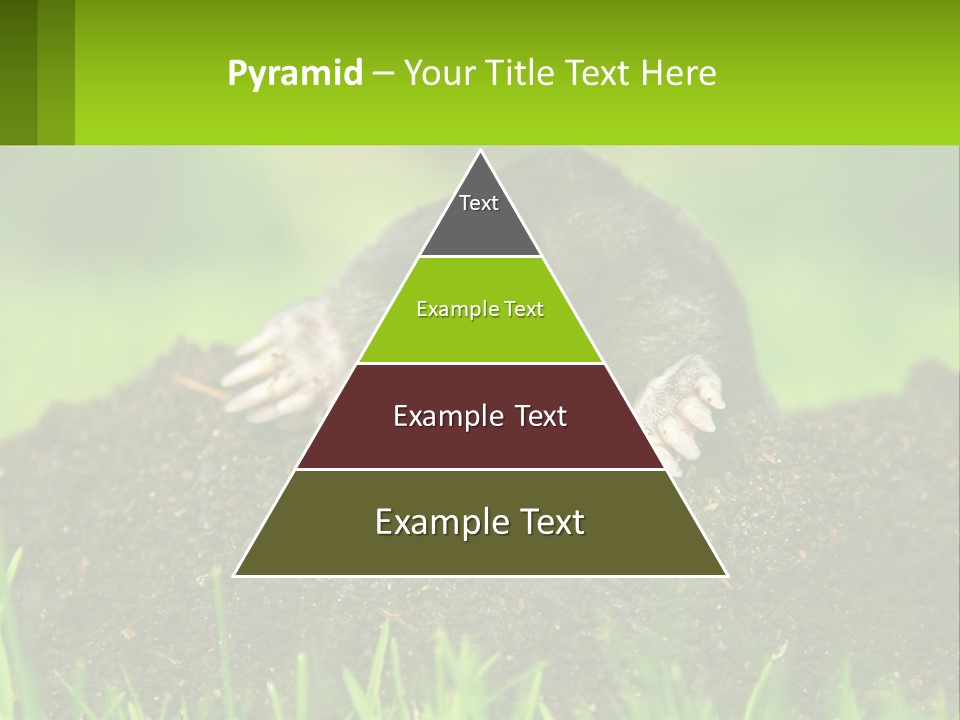 Electricity Home Cooling PowerPoint Template