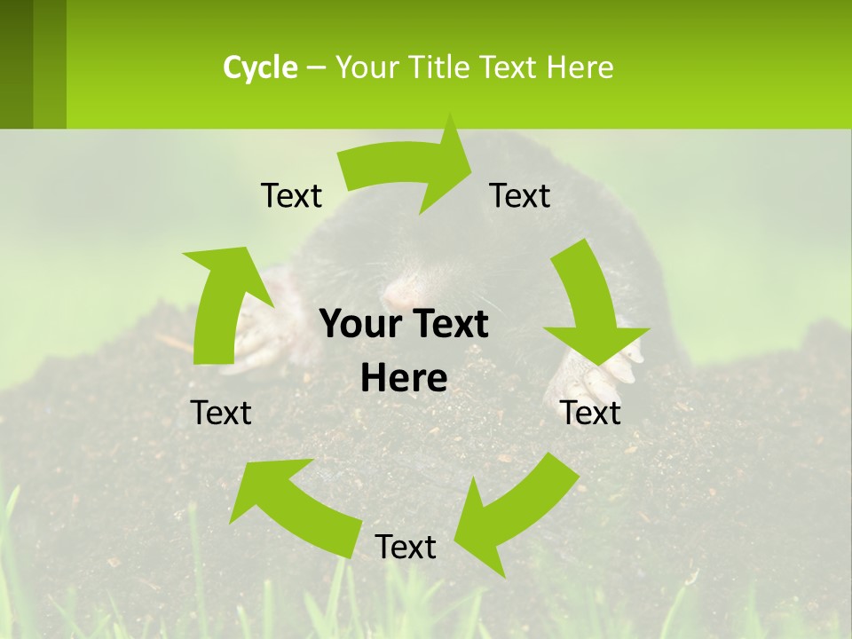 Electricity Home Cooling PowerPoint Template