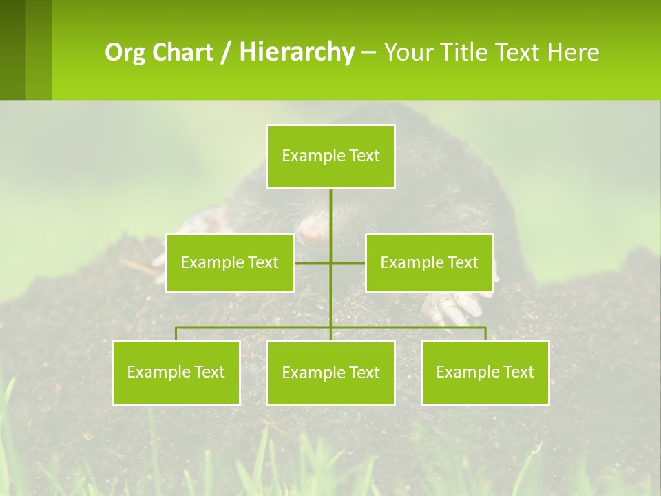 Electricity Home Cooling PowerPoint Template