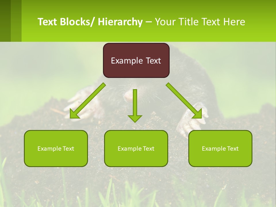 Electricity Home Cooling PowerPoint Template