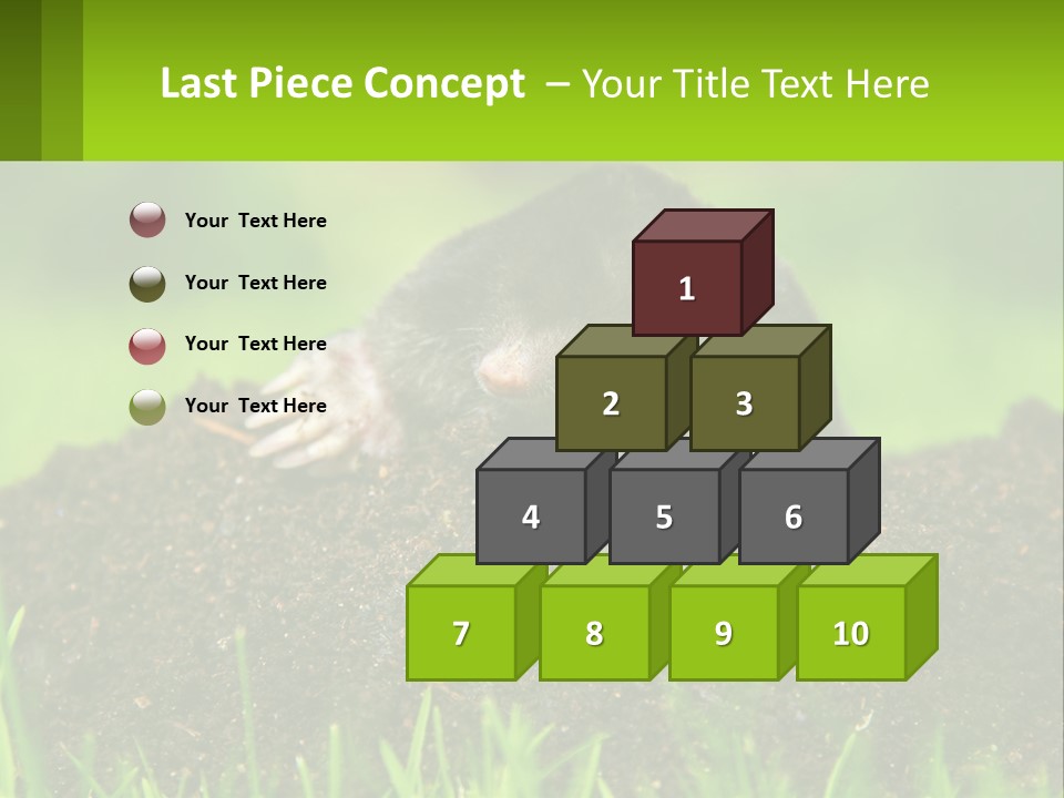 Electricity Home Cooling PowerPoint Template