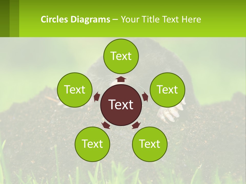 Electricity Home Cooling PowerPoint Template