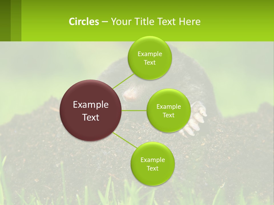 Electricity Home Cooling PowerPoint Template