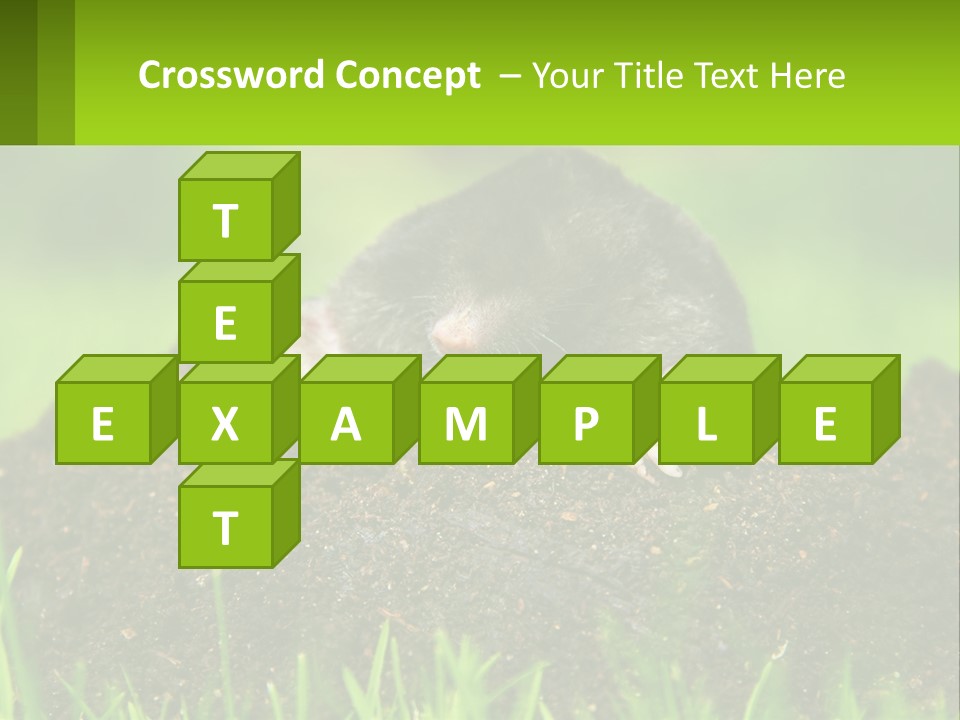 Electricity Home Cooling PowerPoint Template