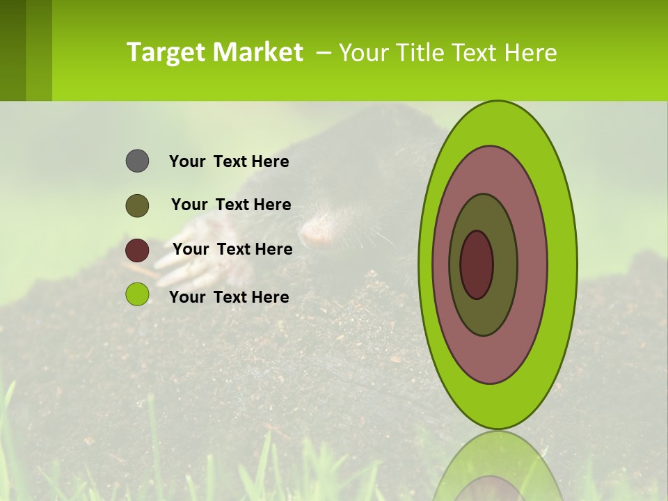 Electricity Home Cooling PowerPoint Template
