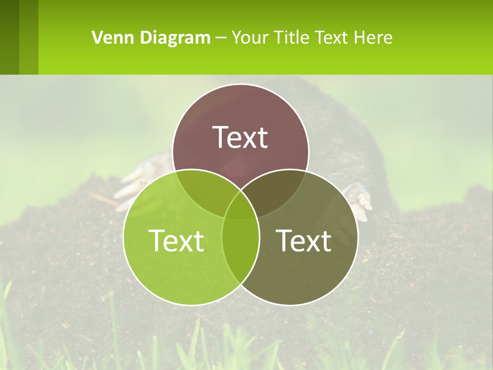 Electricity Home Cooling PowerPoint Template