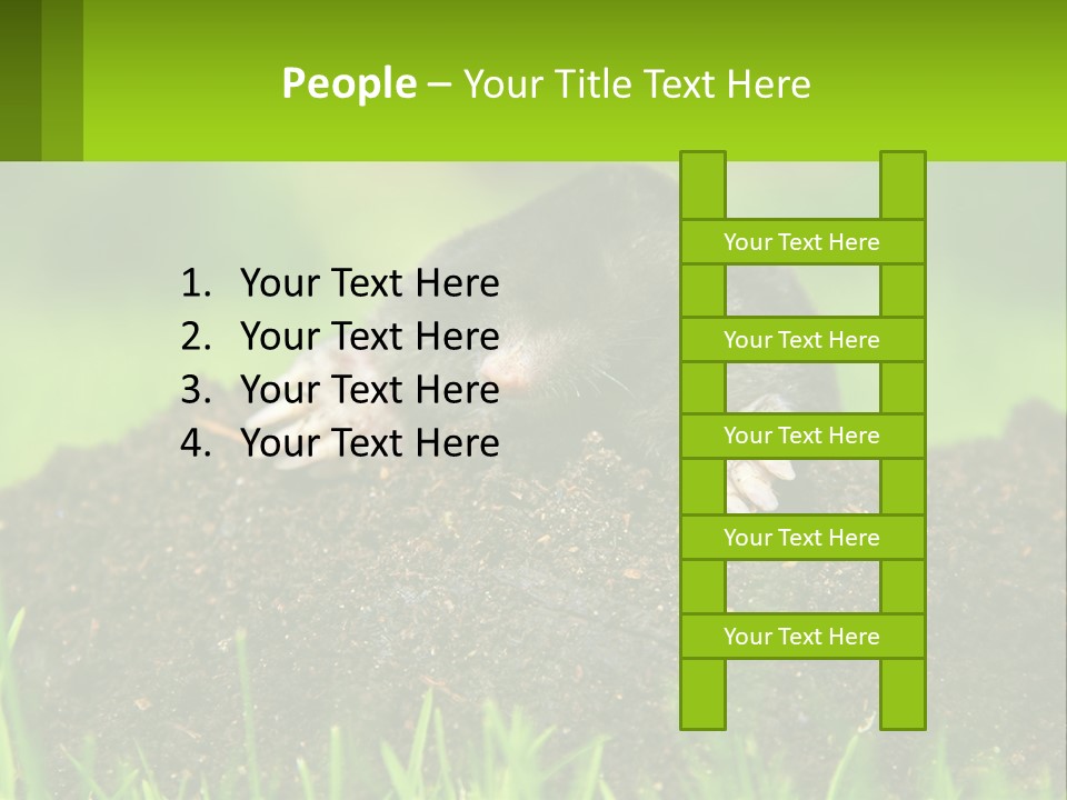 Electricity Home Cooling PowerPoint Template