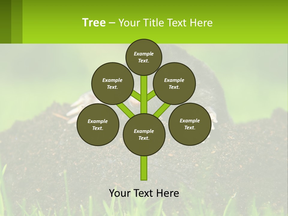 Electricity Home Cooling PowerPoint Template