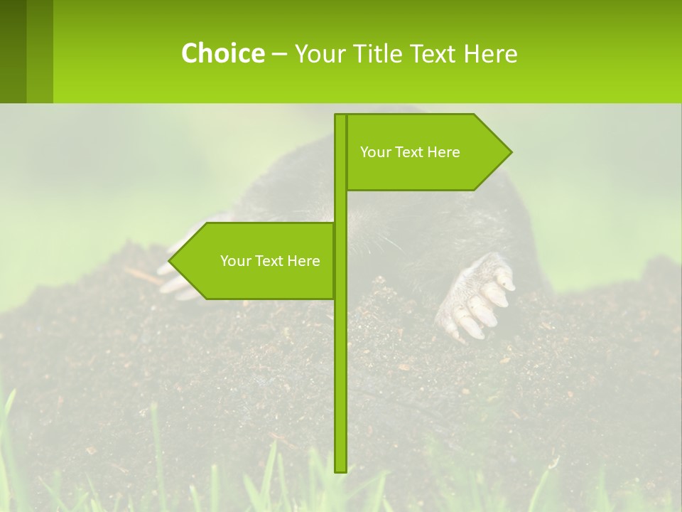 Electricity Home Cooling PowerPoint Template