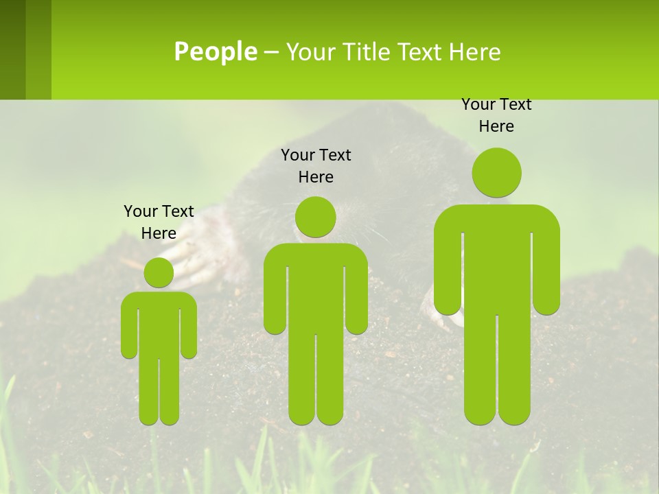 Electricity Home Cooling PowerPoint Template