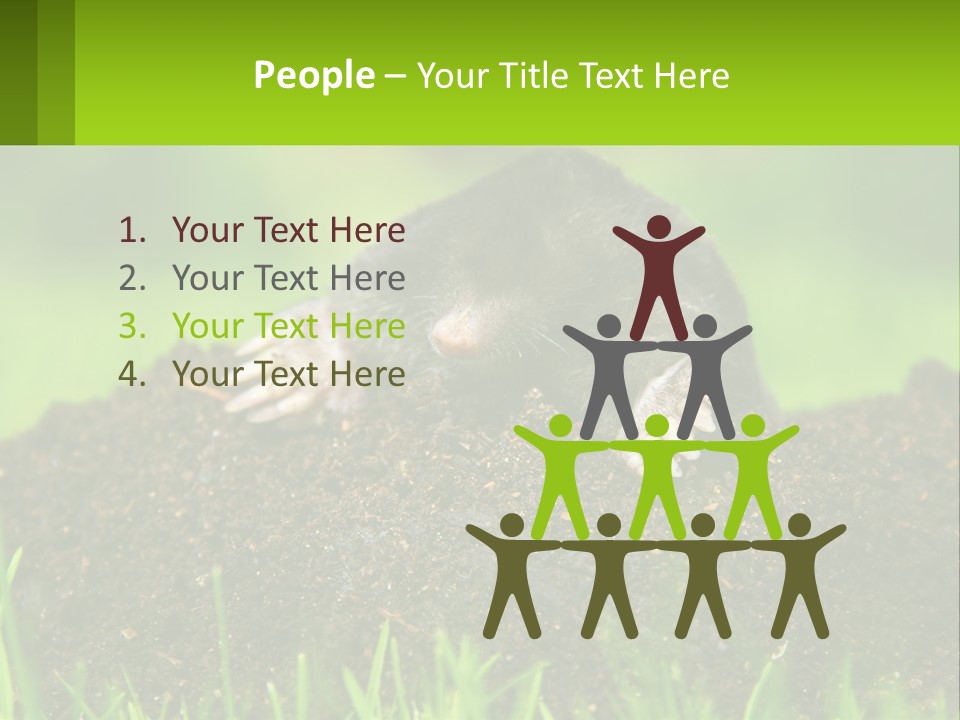 Electricity Home Cooling PowerPoint Template