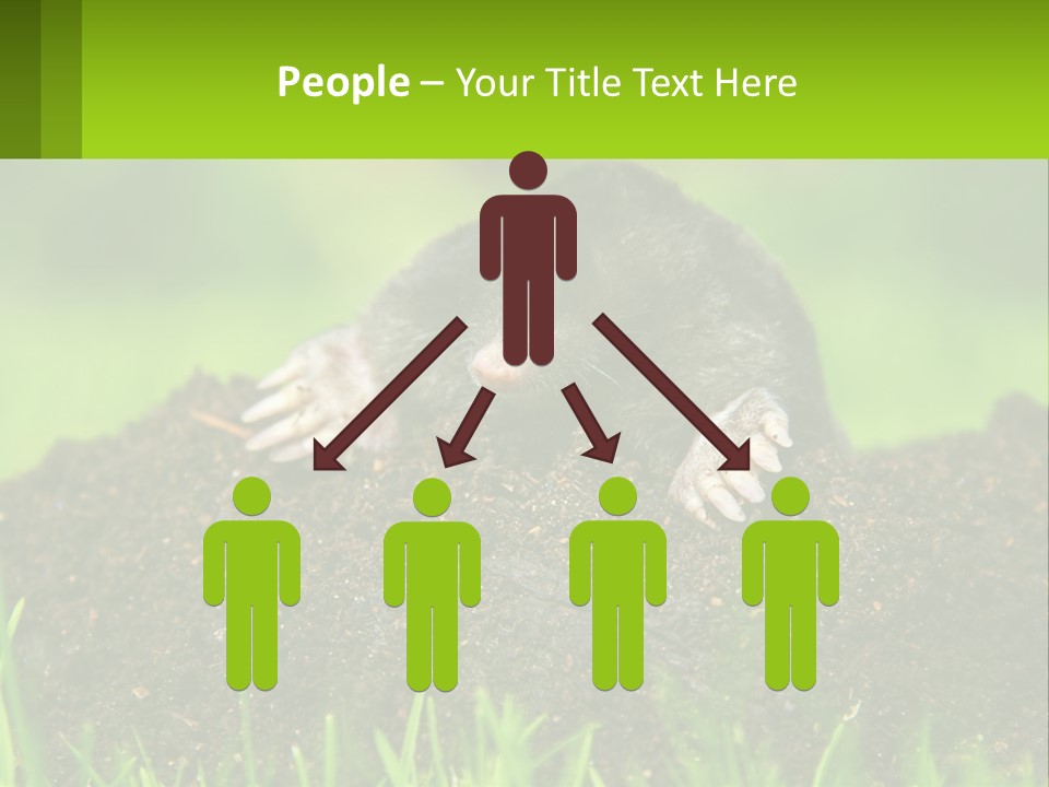 Electricity Home Cooling PowerPoint Template