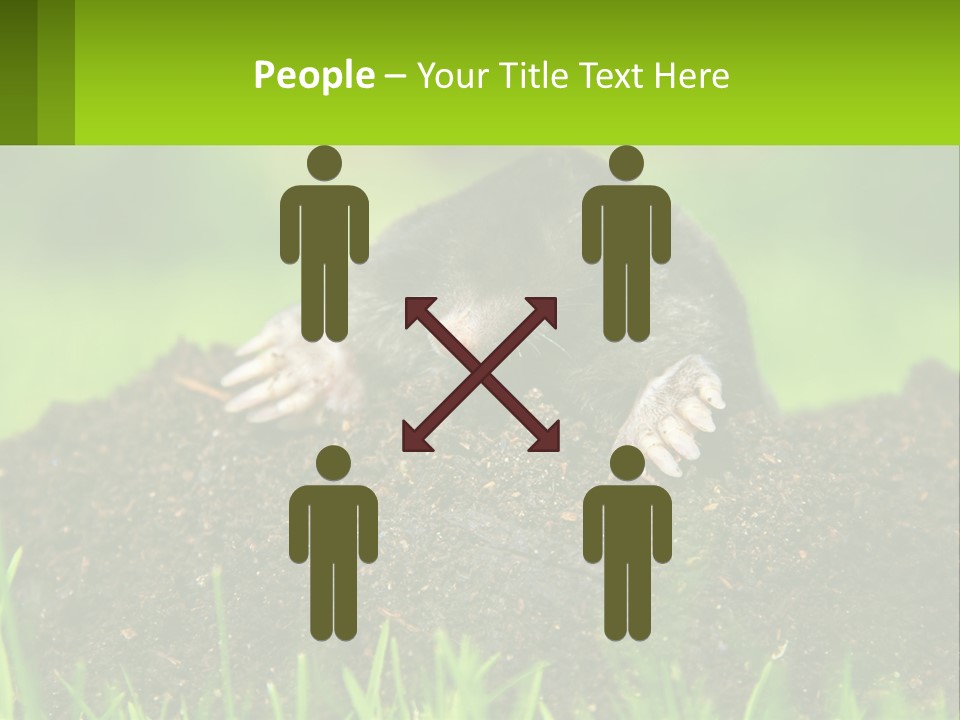 Electricity Home Cooling PowerPoint Template