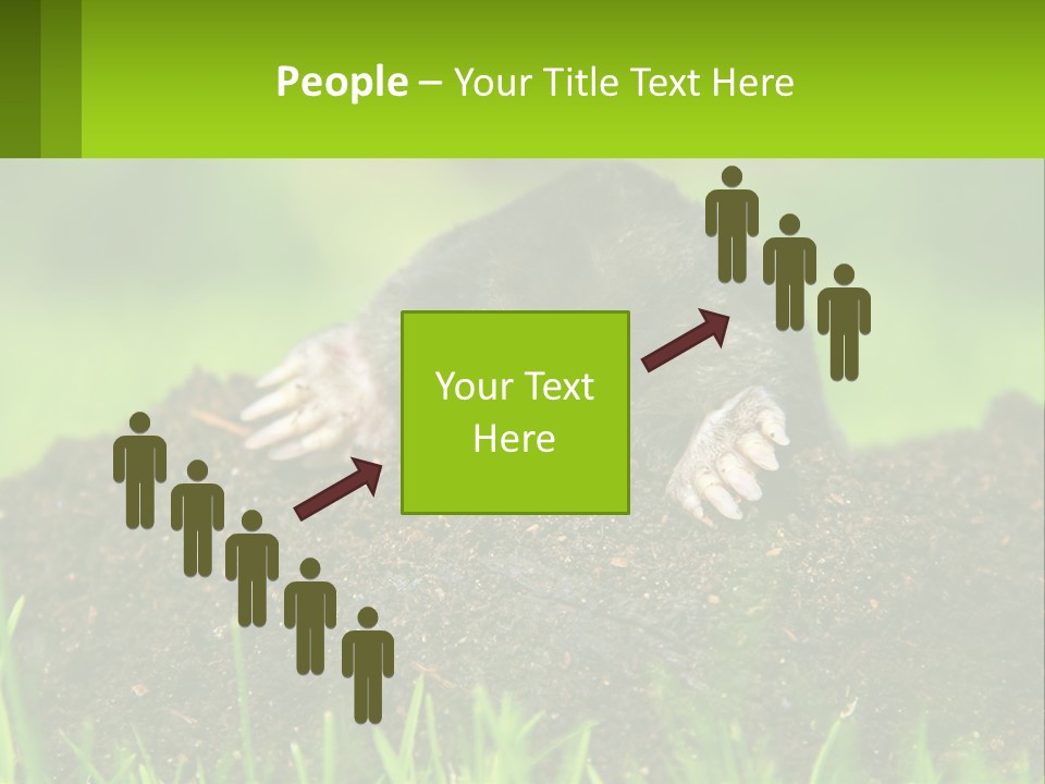 Electricity Home Cooling PowerPoint Template