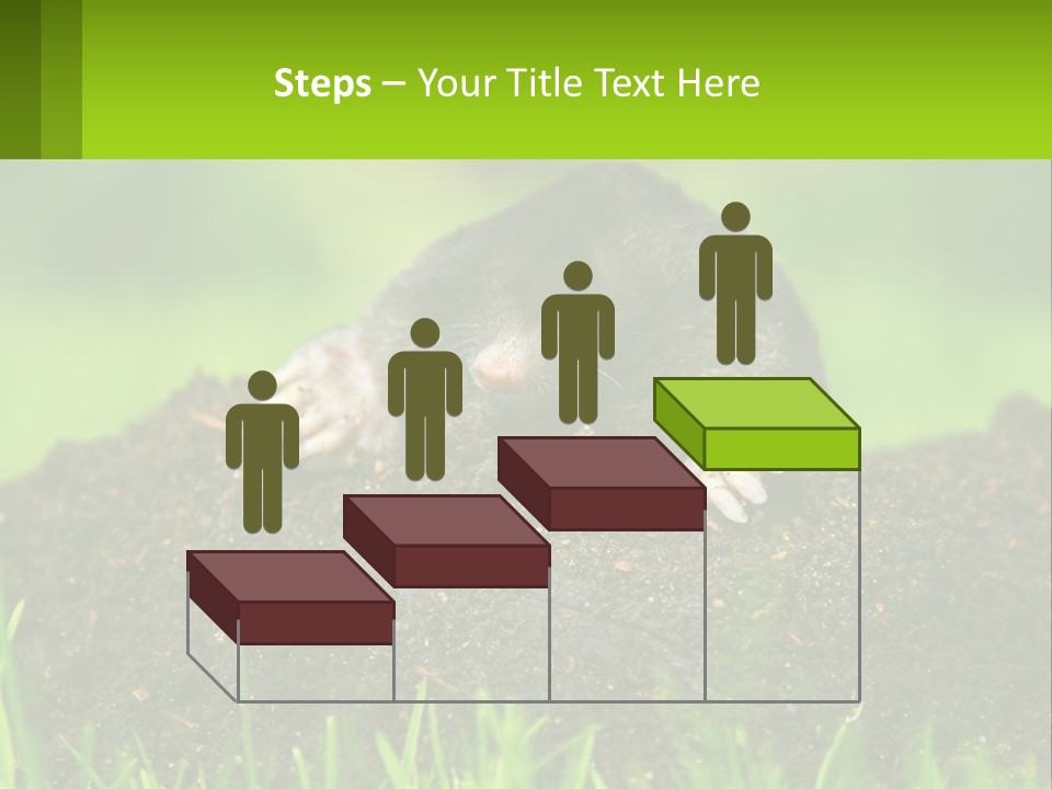 Electricity Home Cooling PowerPoint Template