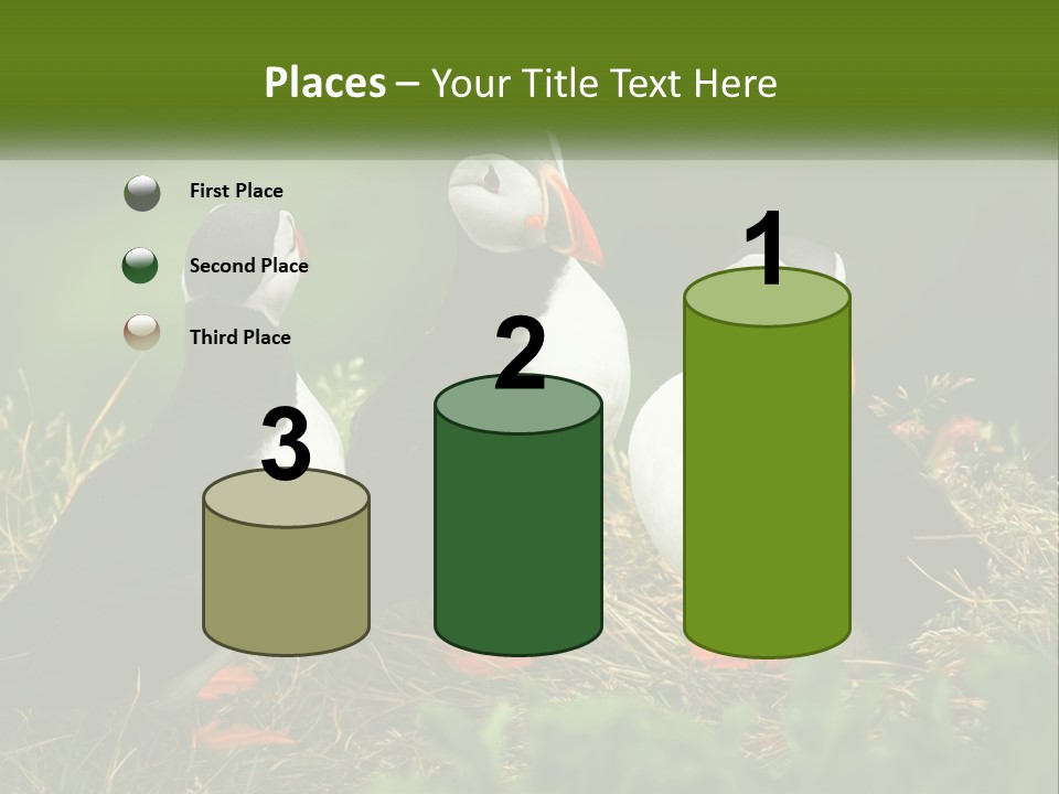 Cold White Condition PowerPoint Template