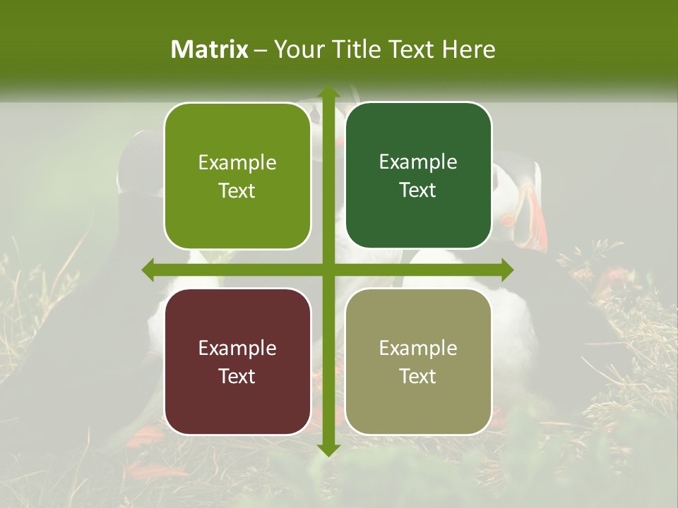 Cold White Condition PowerPoint Template