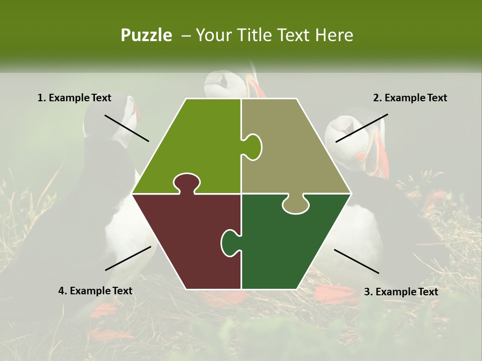 Cold White Condition PowerPoint Template