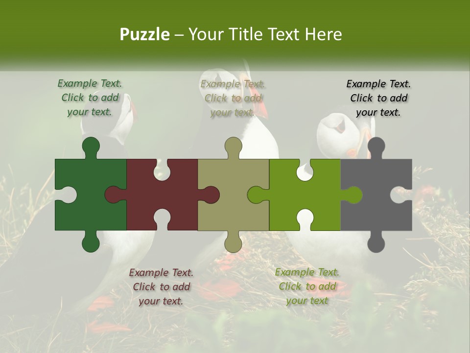 Cold White Condition PowerPoint Template