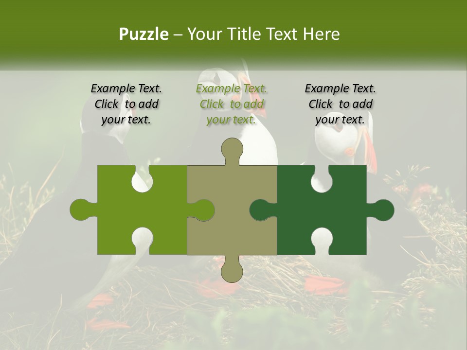 Cold White Condition PowerPoint Template