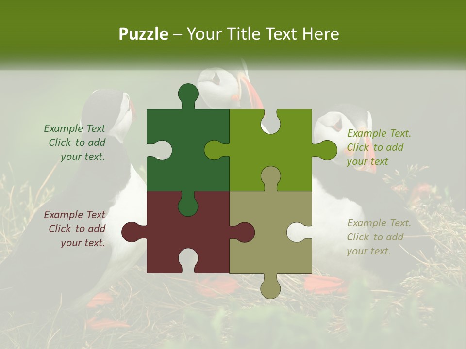 Cold White Condition PowerPoint Template