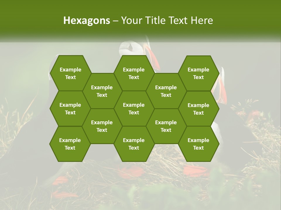 Cold White Condition PowerPoint Template