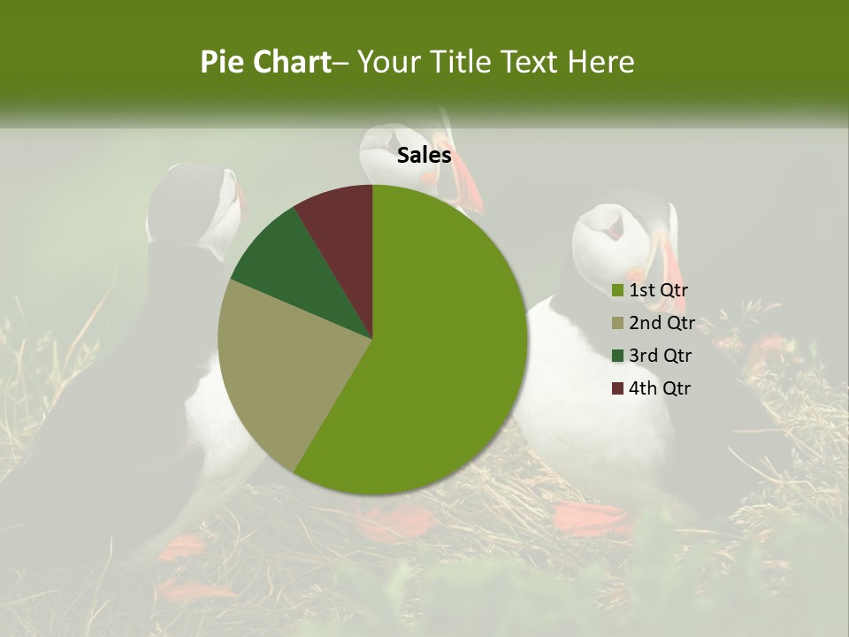 Cold White Condition PowerPoint Template